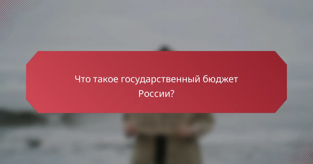 Что такое государственный бюджет России?