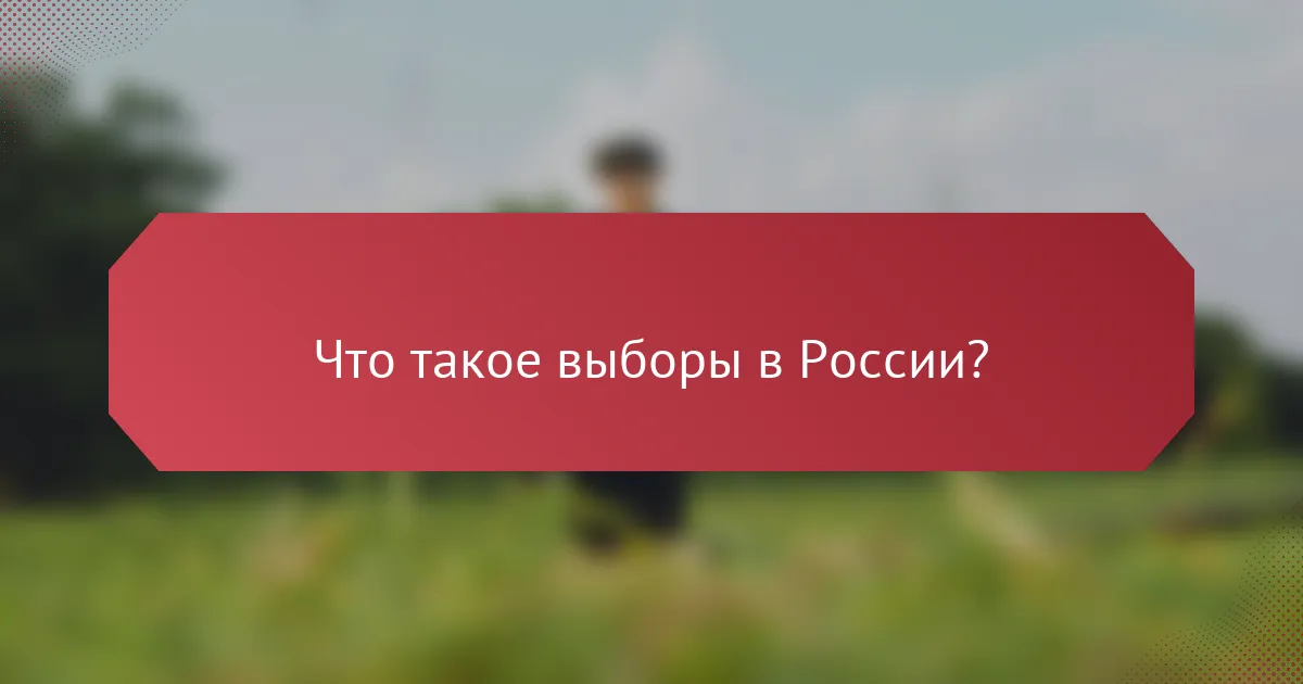 Что такое выборы в России?