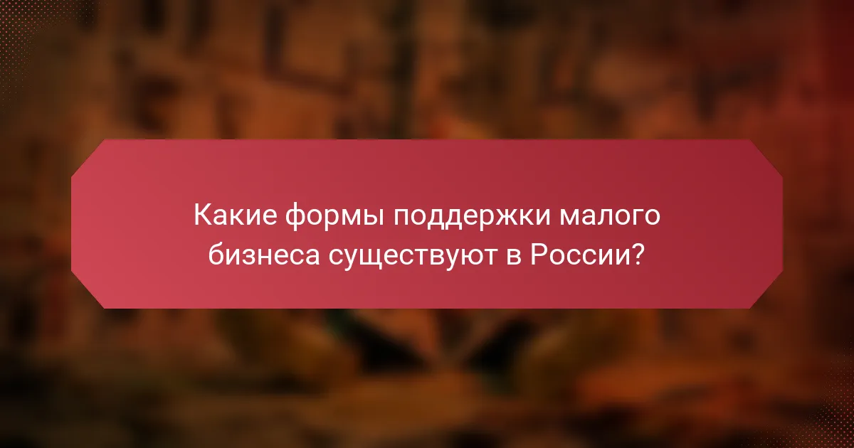 Какие формы поддержки малого бизнеса существуют в России?