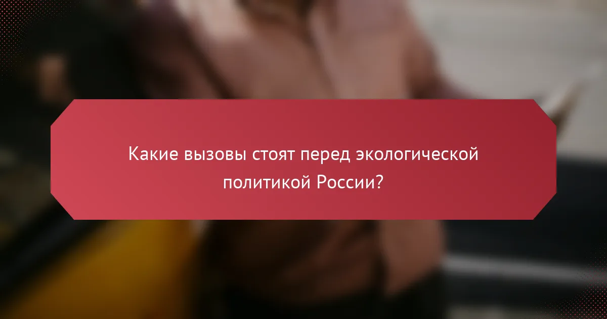 Какие вызовы стоят перед экологической политикой России?
